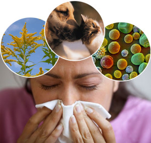 allergy causes